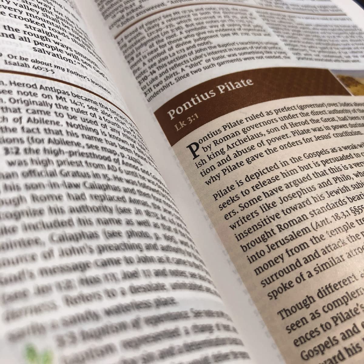 NIV Study Bible, Fully Revised Edition (Study Deeply. Believ