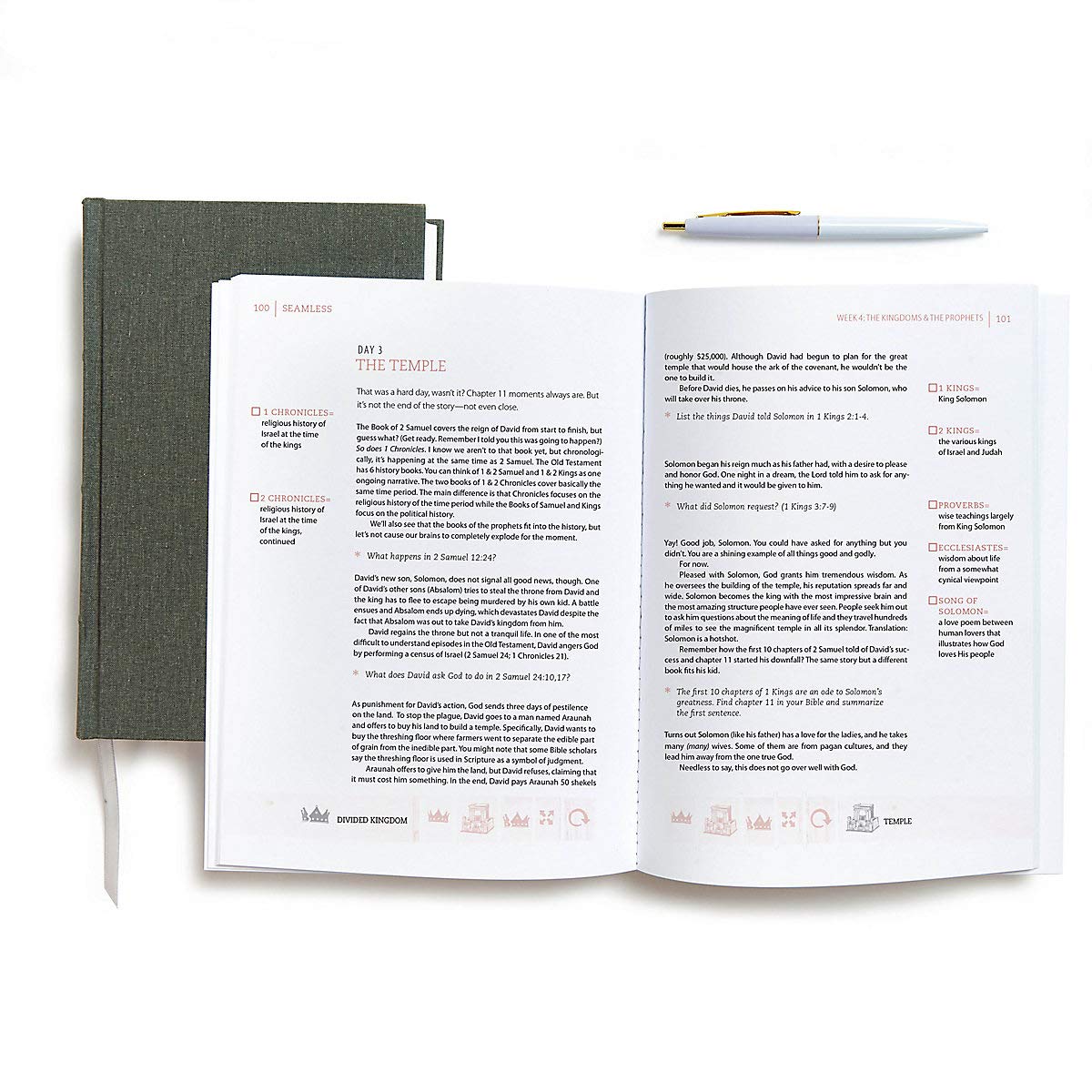 Seamless: Understanding the Bible as One Complete Story (Mem