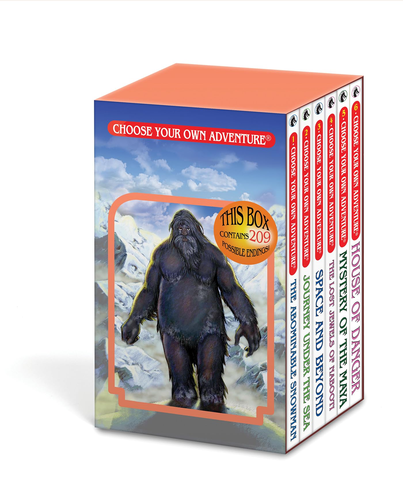 Choose Your Own Adventure 6-Book Boxed Set #1 (Choose Your O