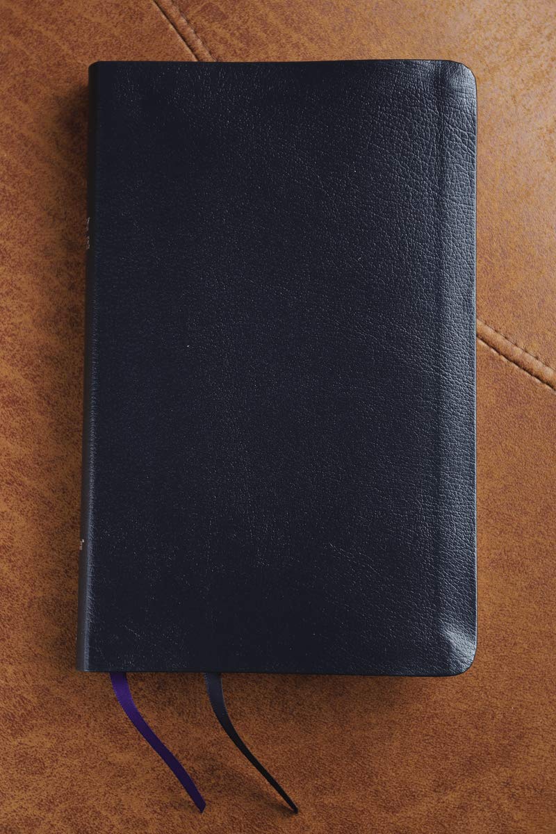 NIV, Thinline Bible, Bonded Leather, Navy, Red Letter, Comfo