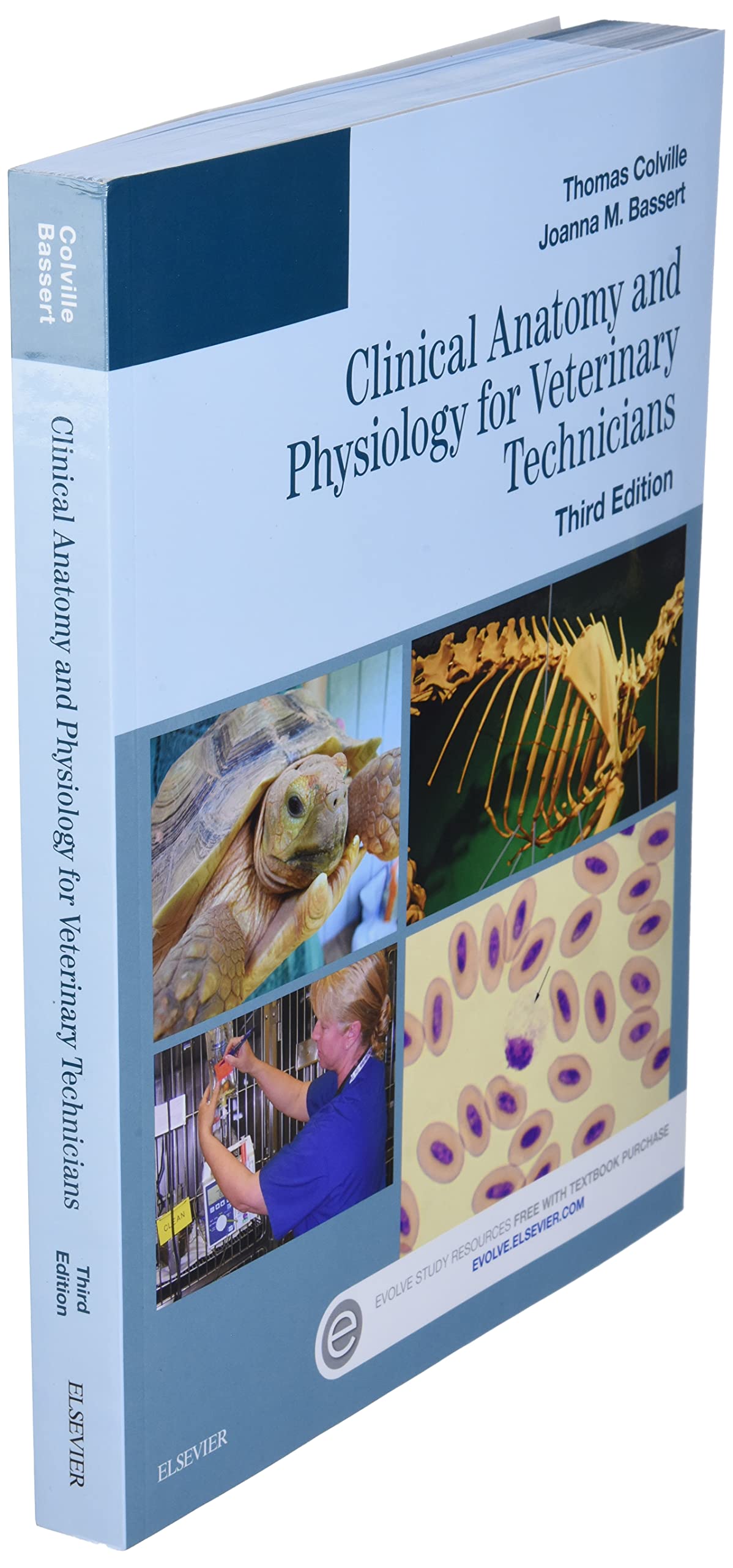 Clinical Anatomy and Physiology for Veterinary Technicians b