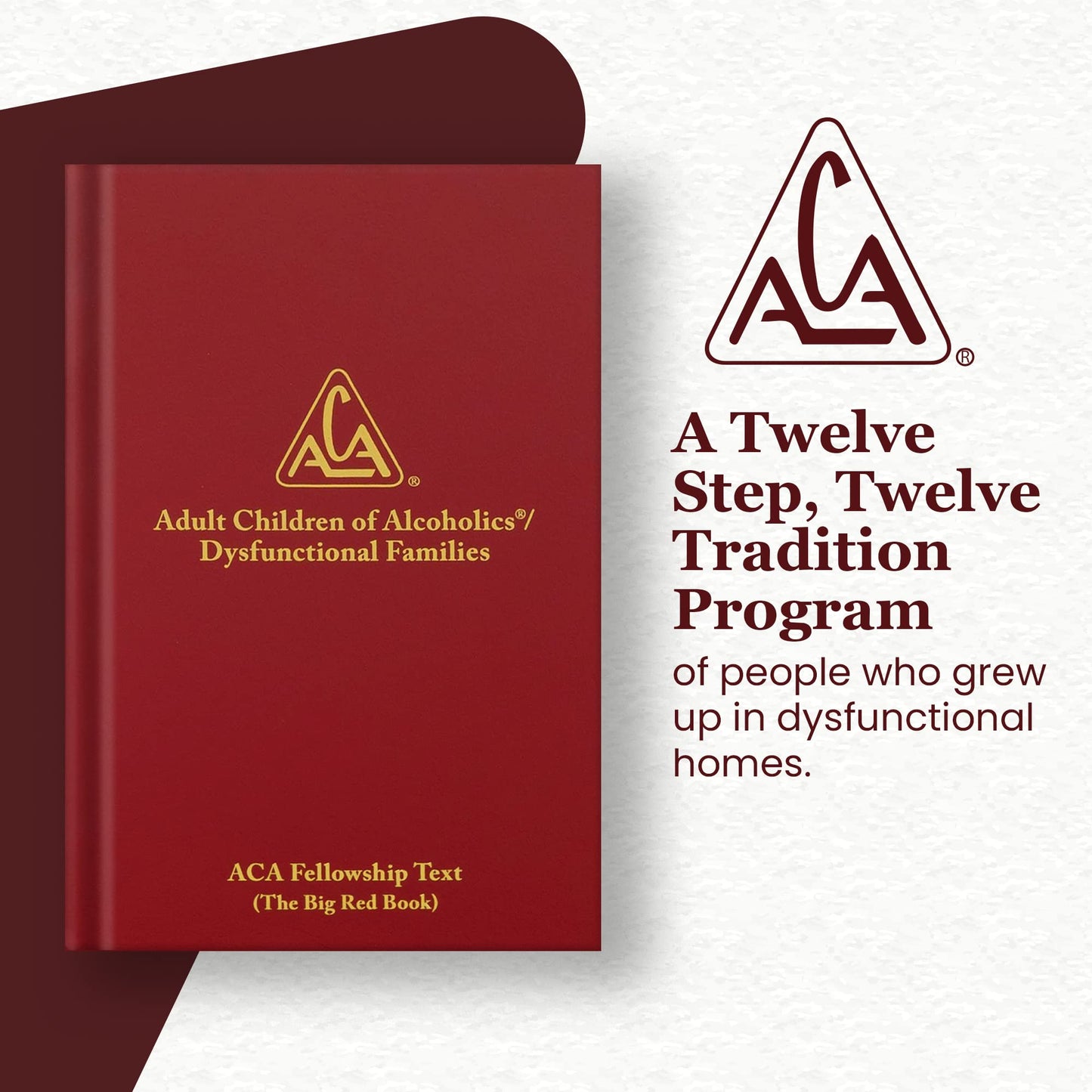 Adult Children: Alcoholic / Dysfunctional Families by ADULT