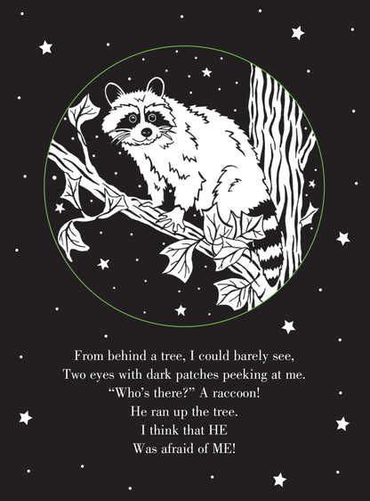 Whoo's There? Bedtime Shadow Book by Peter Pauper Press
