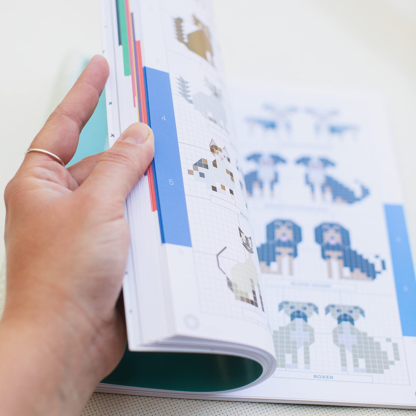 Do-It-Yourself Stitch People (2nd Ed.) by Elizabeth Dabczyns