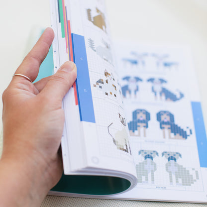 Do-It-Yourself Stitch People (2nd Ed.) by Elizabeth Dabczyns