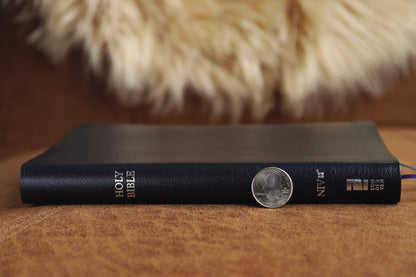 NIV, Thinline Bible, Bonded Leather, Navy, Red Letter, Comfo