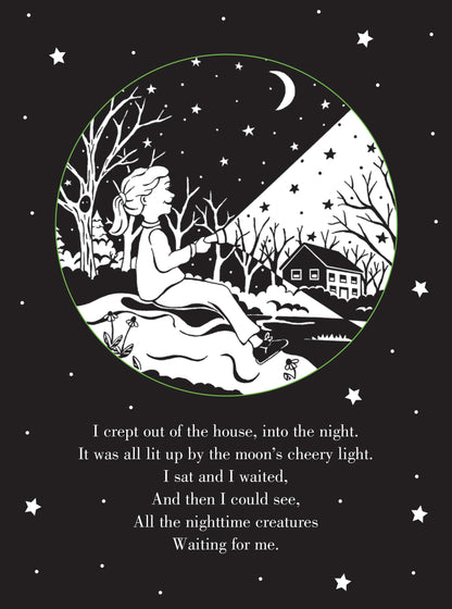 Whoo's There? Bedtime Shadow Book by Peter Pauper Press