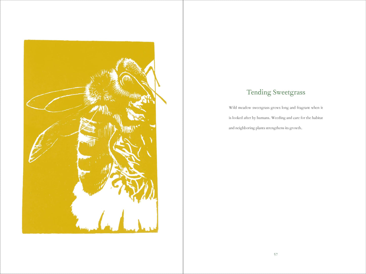 Braiding Sweetgrass: Indigenous Wisdom, Scientific Knowledge