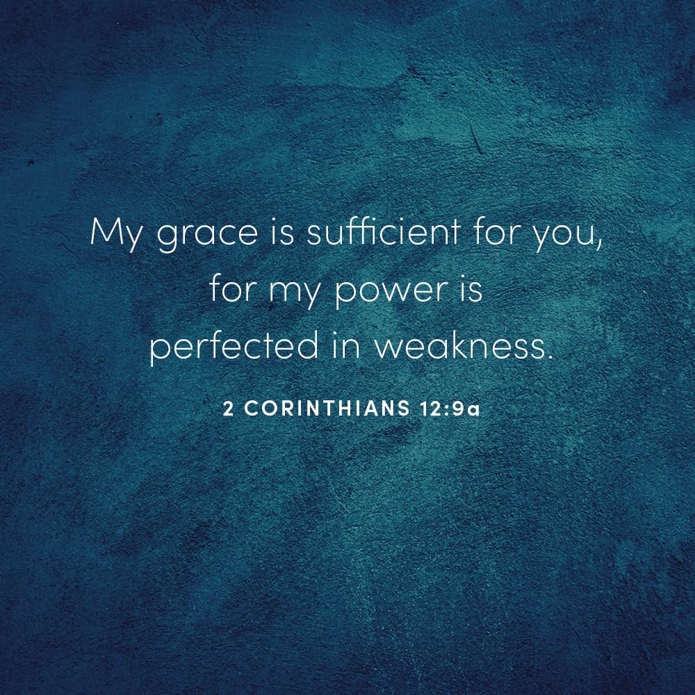Gideon: Your Weakness. God's Strength. Bible Study Book by S