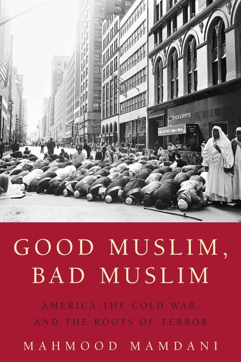 Good Muslim, Bad Muslim: America, the Cold War, and the Root