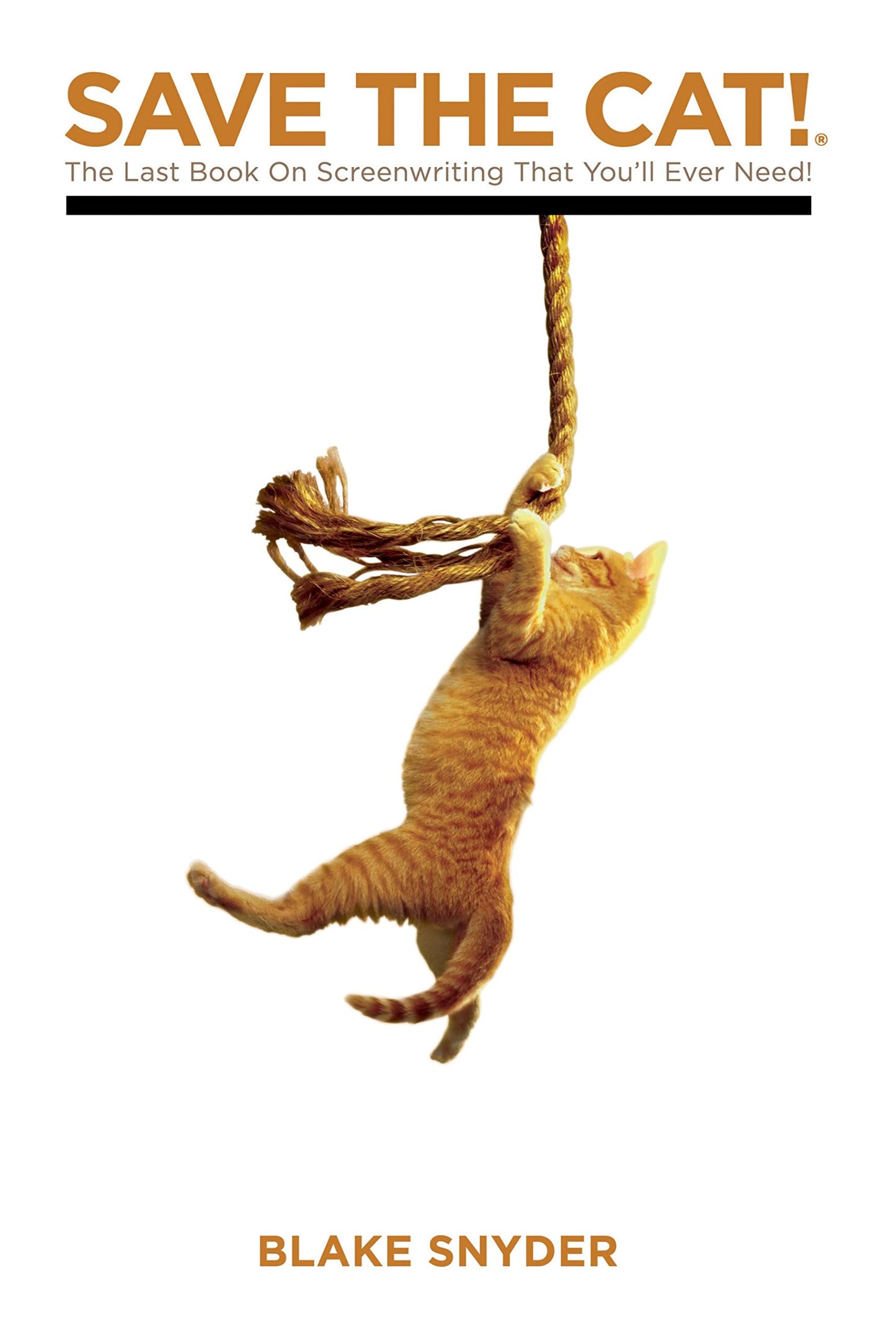 Save The Cat! The Last Book on Screenwriting You'll Ever Nee