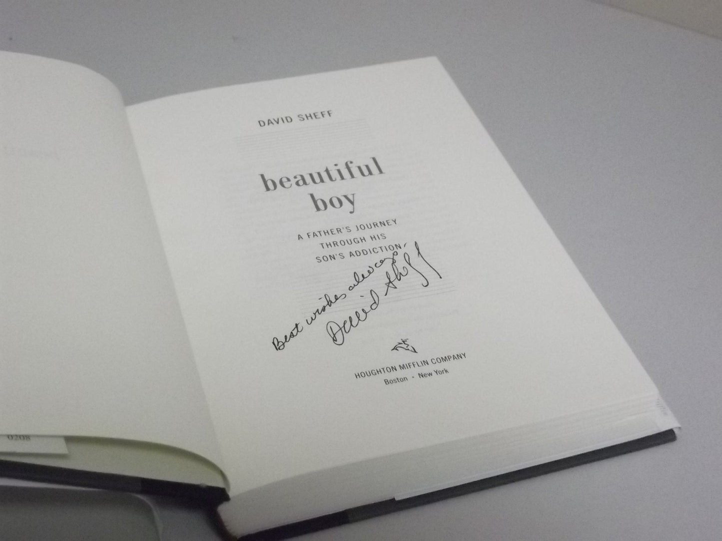 Beautiful Boy: A Father's Journey Through His Son's Addictio