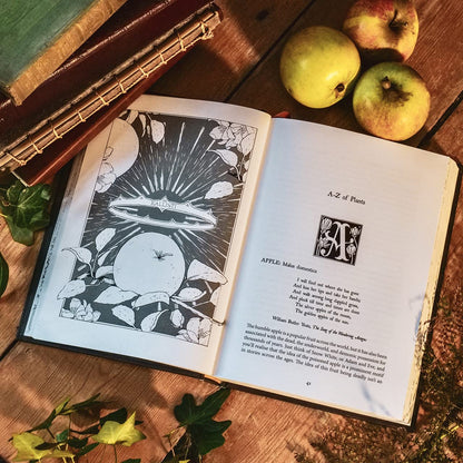 Botanical Curses and Poisons: The Shadow-Lives of Plants by