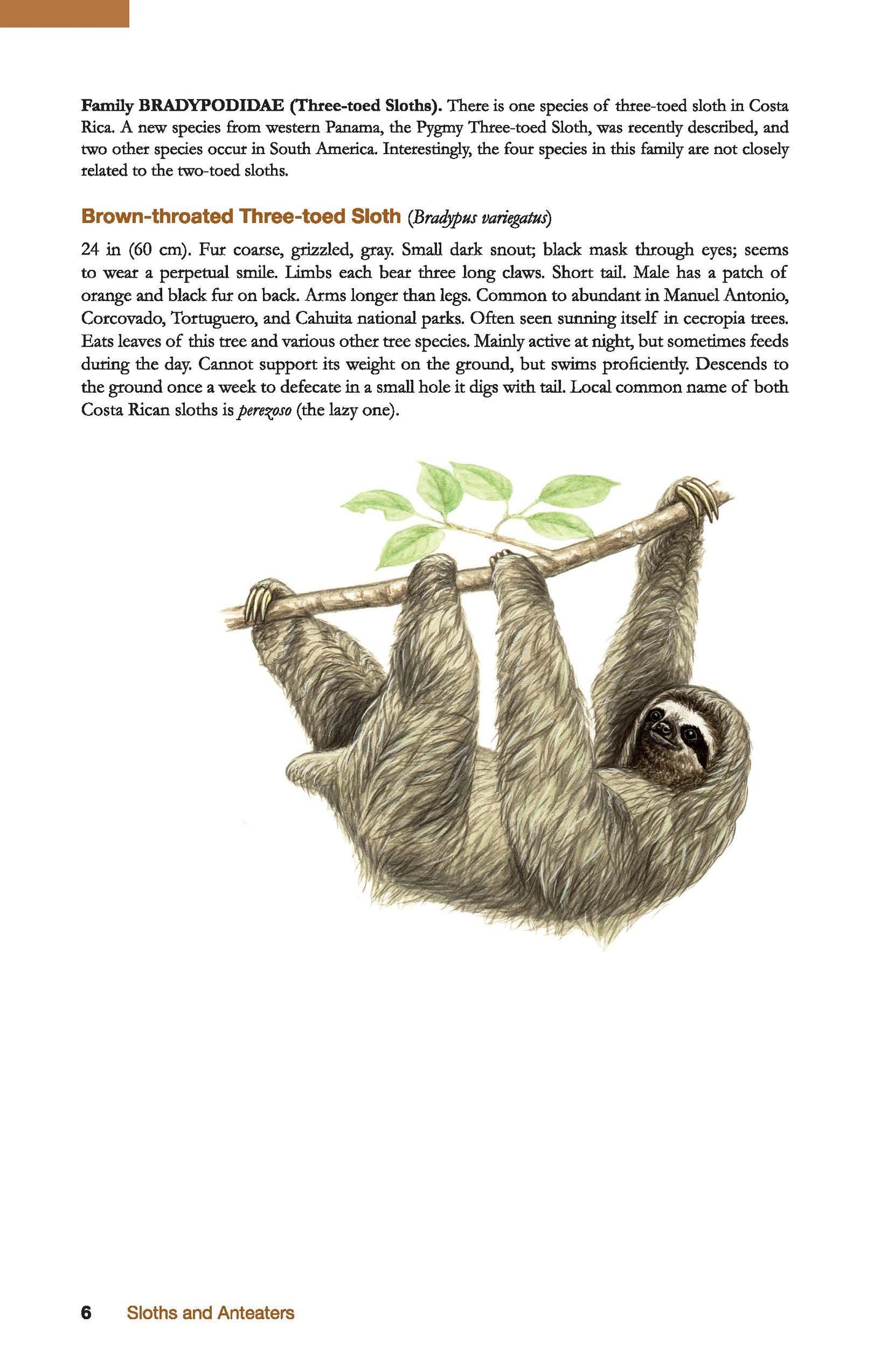 The Wildlife of Costa Rica: A Field Guide (Zona Tropical Pub