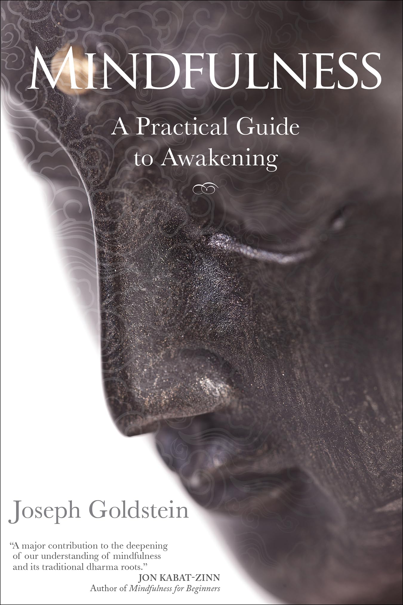 Mindfulness: A Practical Guide to Awakening by Goldstein, Jo