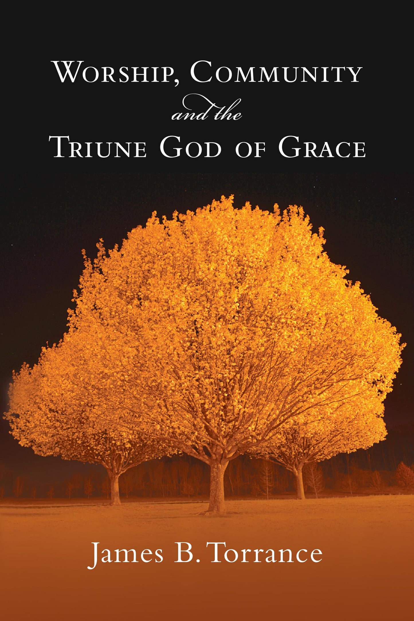 Worship, Community and the Triune God of Grace by Torrance,