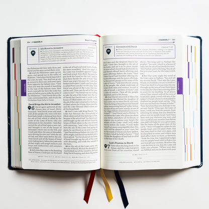 The Great Adventure Catholic Bible, Second Edition (Large Pr