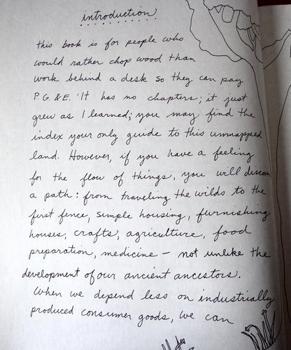 Living on the Earth: Celebrations, Storm Warnings, Formulas,