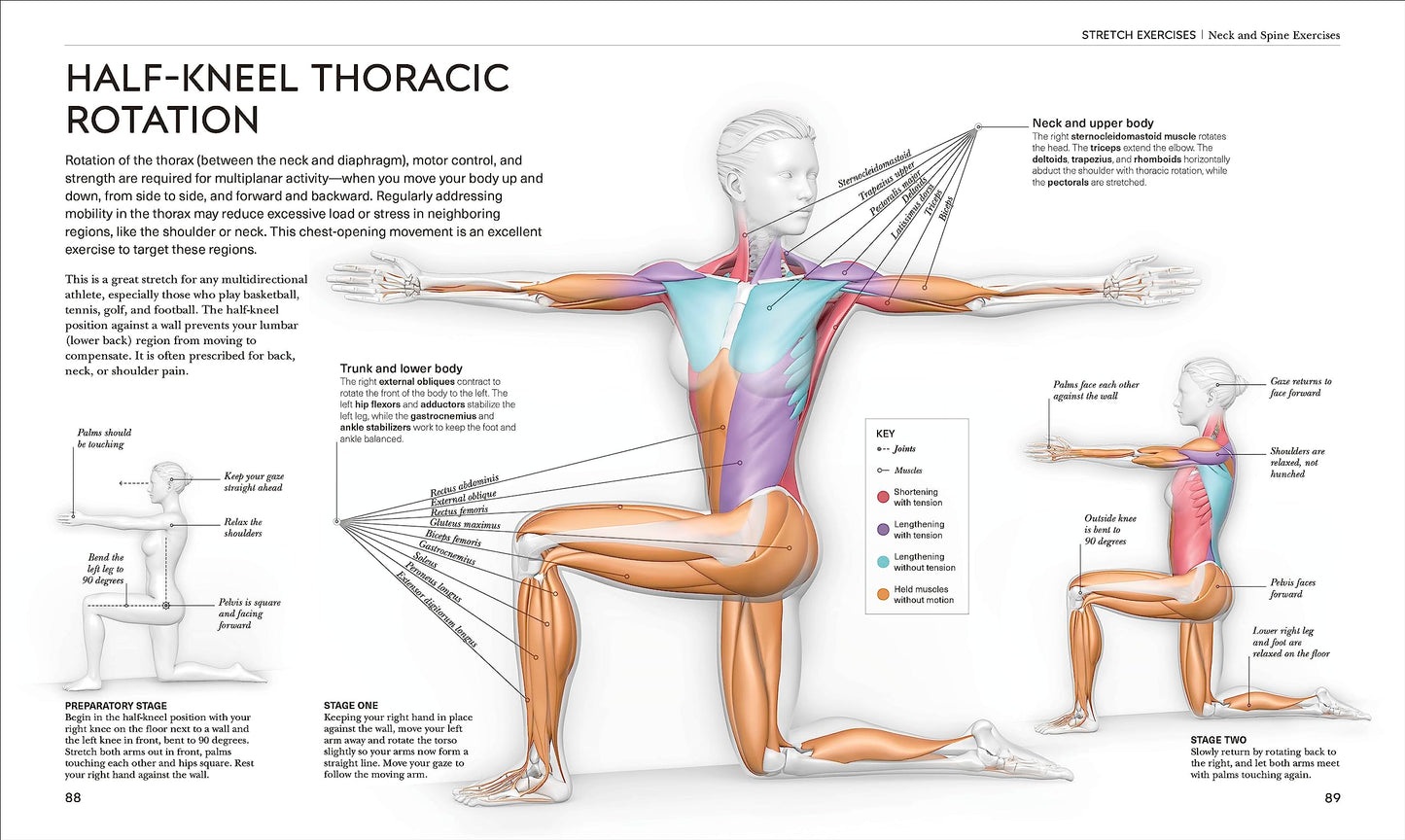 Science of Stretch: Reach Your Flexible Potential, Stay Acti