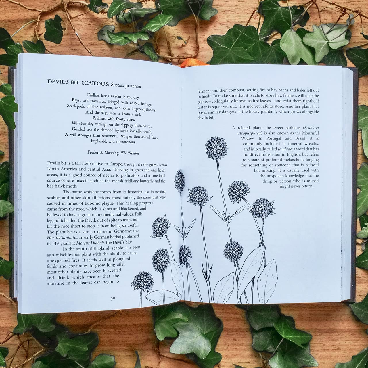 Botanical Curses and Poisons: The Shadow-Lives of Plants by