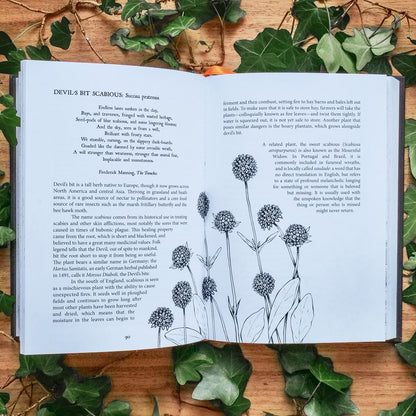 Botanical Curses and Poisons: The Shadow-Lives of Plants by