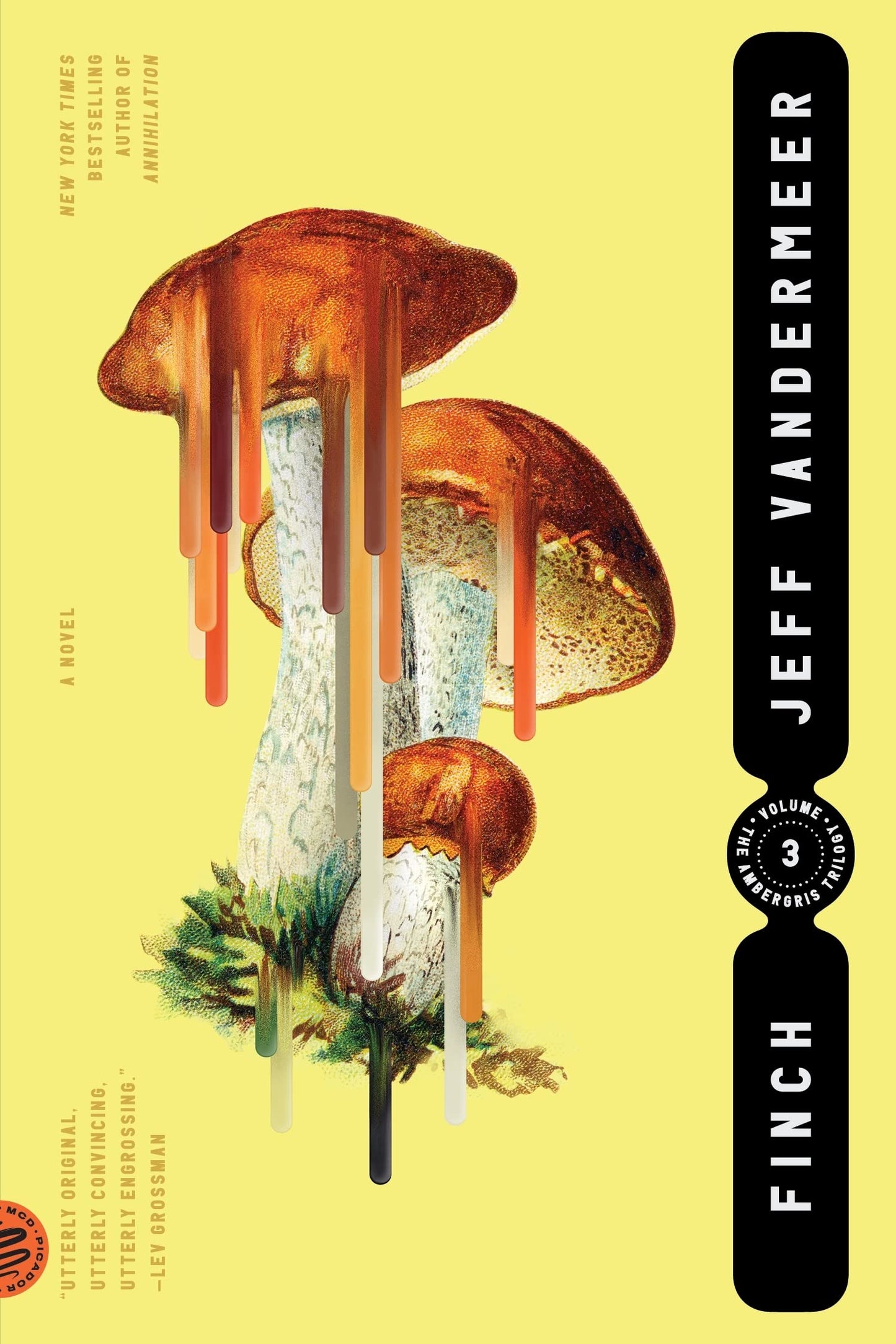 Finch (The Ambergris Trilogy, 3) by Vandermeer, Jeff