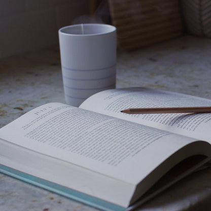 New Morning Mercies: A Daily Gospel Devotional by Tripp, Pau