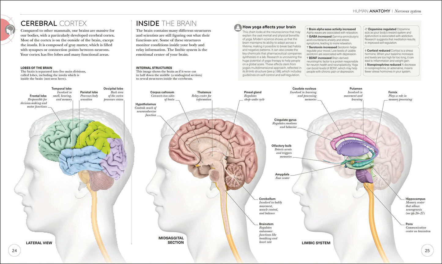 Science of Yoga: Understand the Anatomy and Physiology to Pe