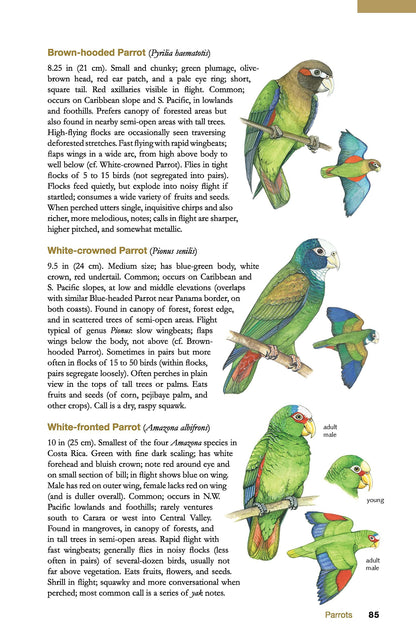 The Wildlife of Costa Rica: A Field Guide (Zona Tropical Pub