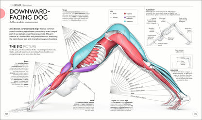 Science of Yoga: Understand the Anatomy and Physiology to Pe