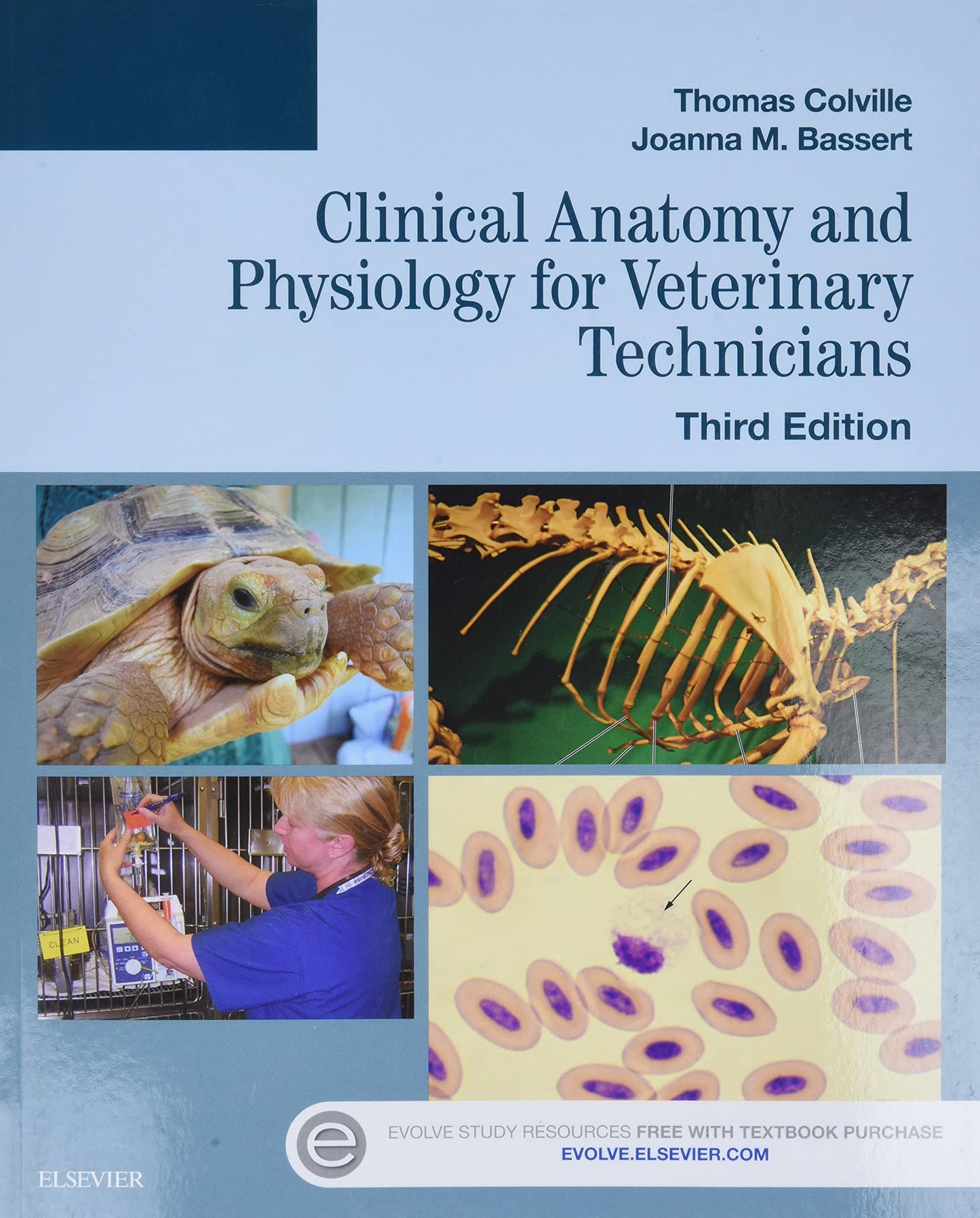 Clinical Anatomy and Physiology for Veterinary Technicians b