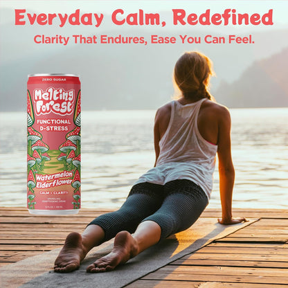 Mushroom D-Stress Drink 12 Pack - Watermelon Elderflower