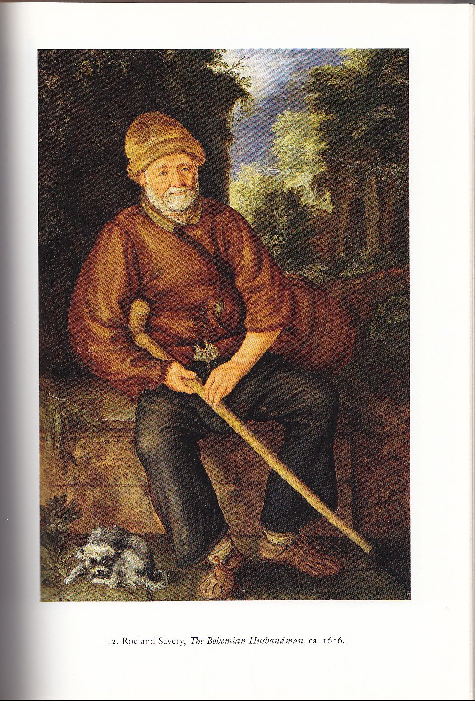 Landscape And Memory by Schama, Simon