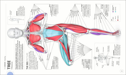 Science of Yoga: Understand the Anatomy and Physiology to Pe