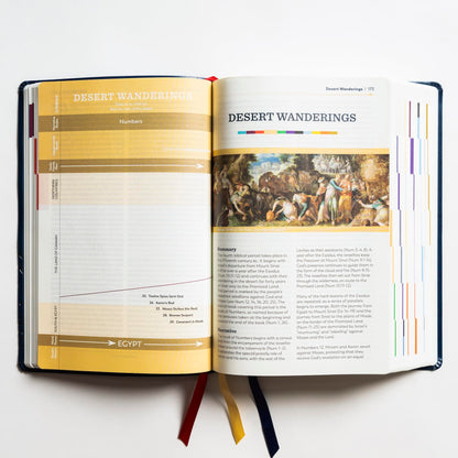 The Great Adventure Catholic Bible, Second Edition (Large Pr
