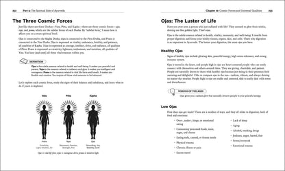 Ayurveda (Idiot's Guides) by Ketabi, Sahara Rose