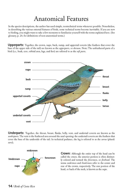The Birds of Costa Rica: A Field Guide (Zona Tropical Publications)