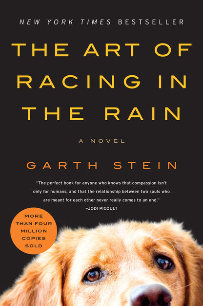 The Art of Racing in the Rain: A Novel by Stein, Garth