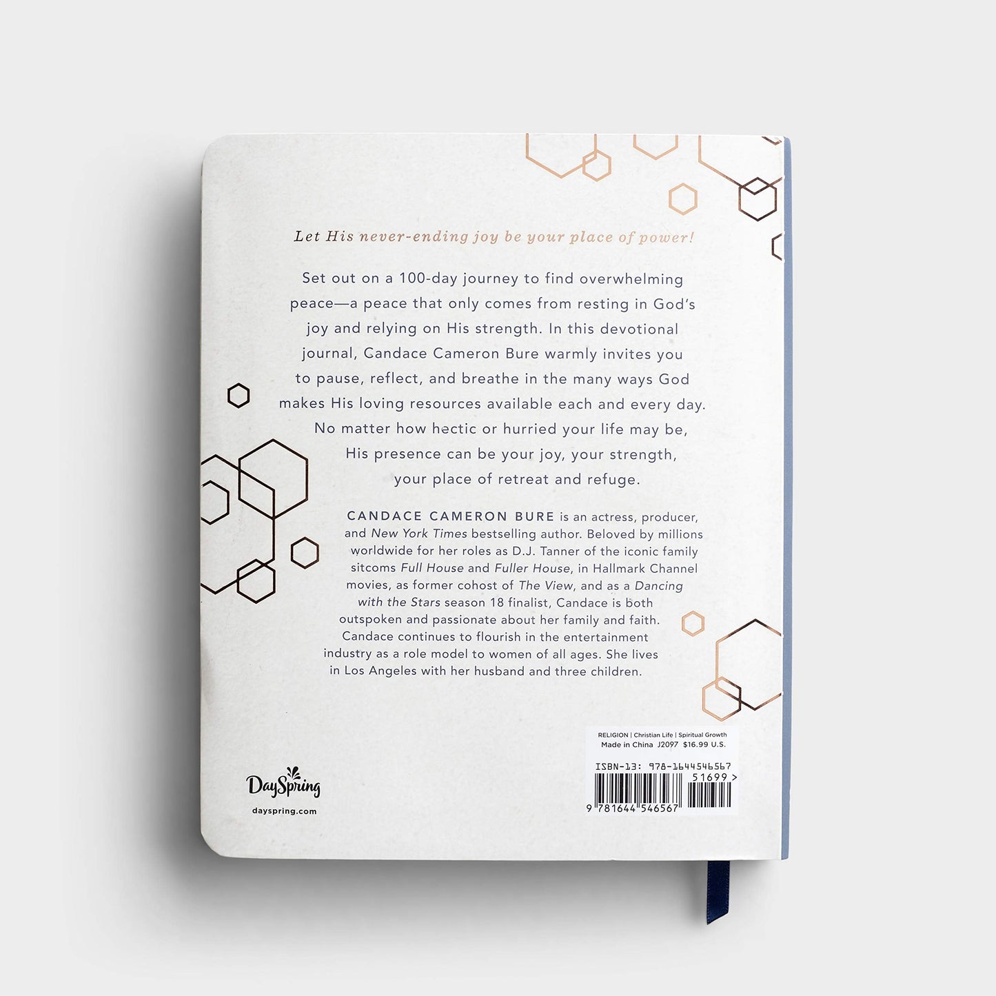 100 Days of Joy and Strength: A Devotional Journal by Candac