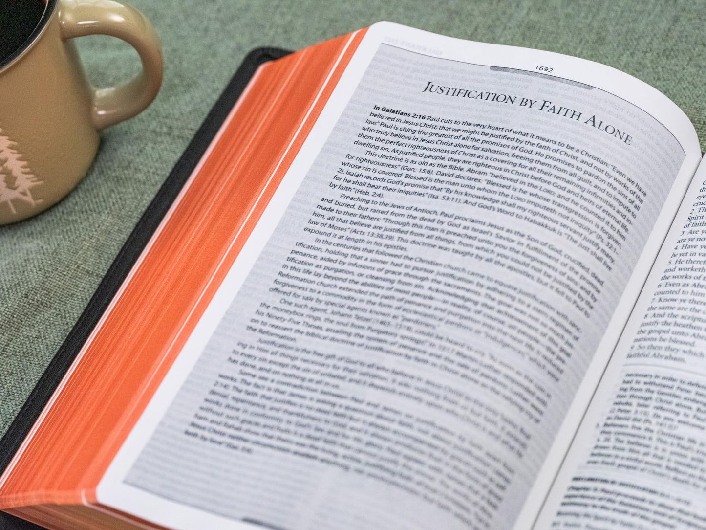 Reformation Heritage (RHB) KJV Study & Devotional Bible: Kin