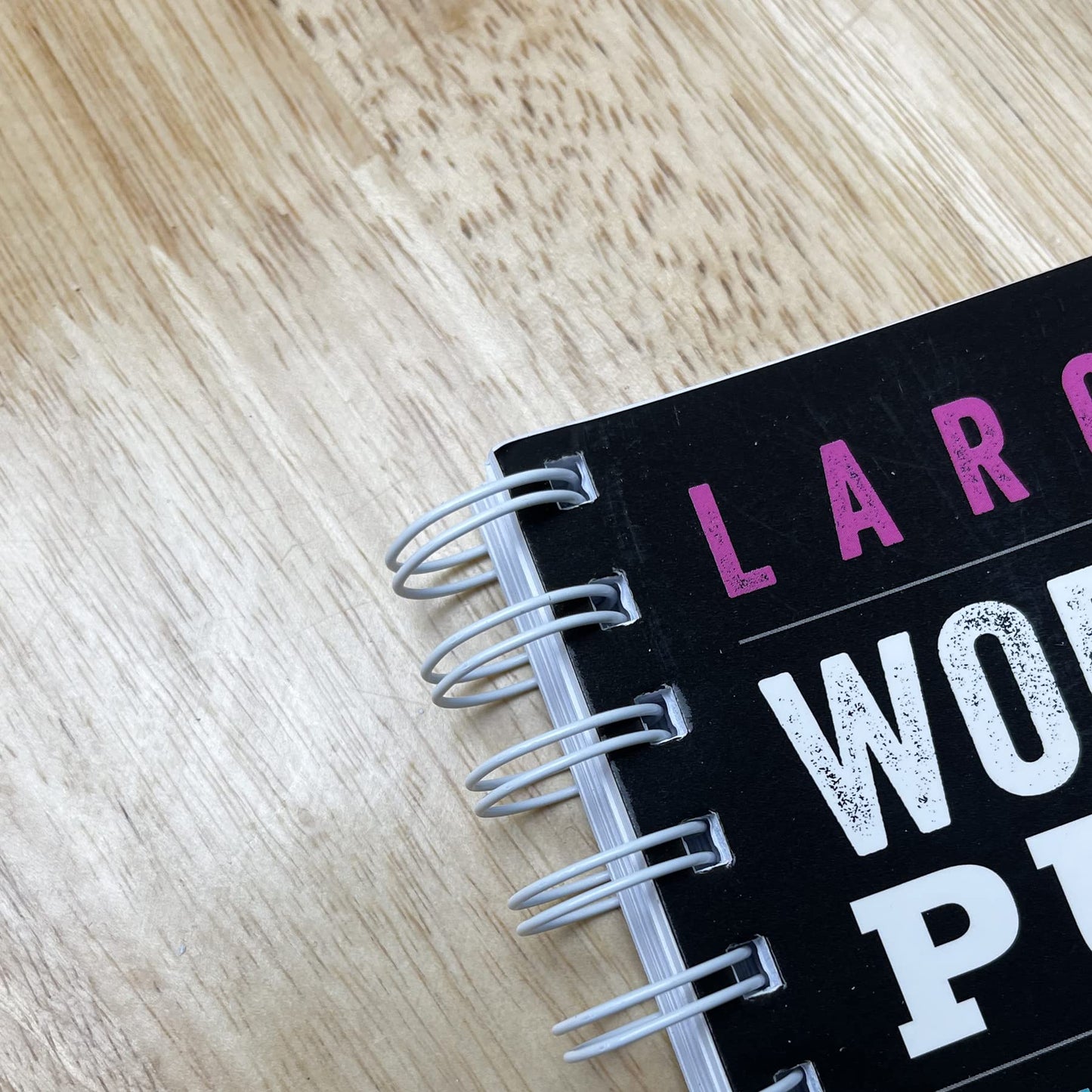 Large Print Word Search Puzzles: Over 200 Puzzles for Adults