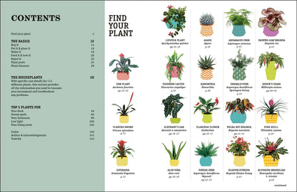 How Not to Kill Your Houseplant New Edition: Survival Tips f