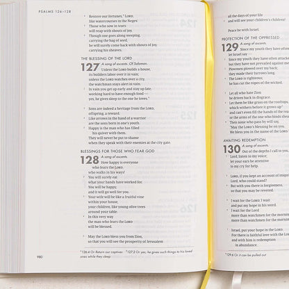 CSB She Reads Truth Bible, Hardcover, Black Letter, Full-Col