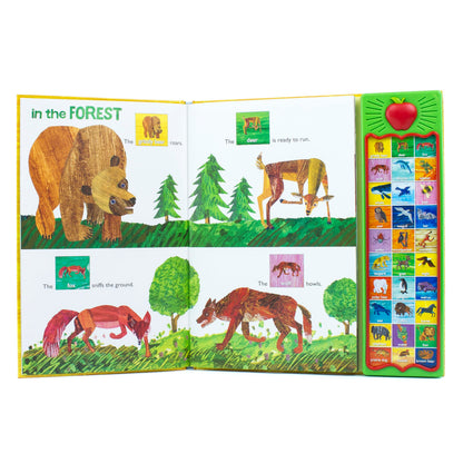 World of Eric Carle, Hear Bear Roar 30-Button Animal Sound B