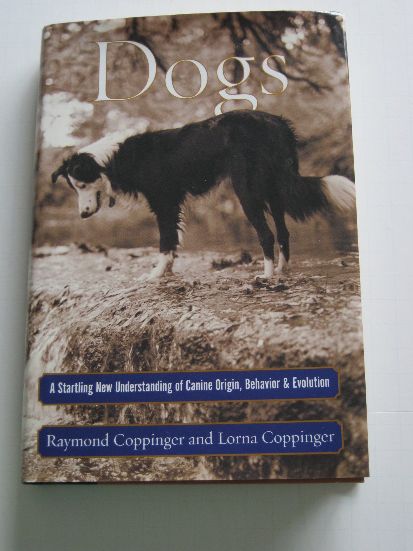 Dogs: A Startling New Understanding of Canine Origin, Behavi