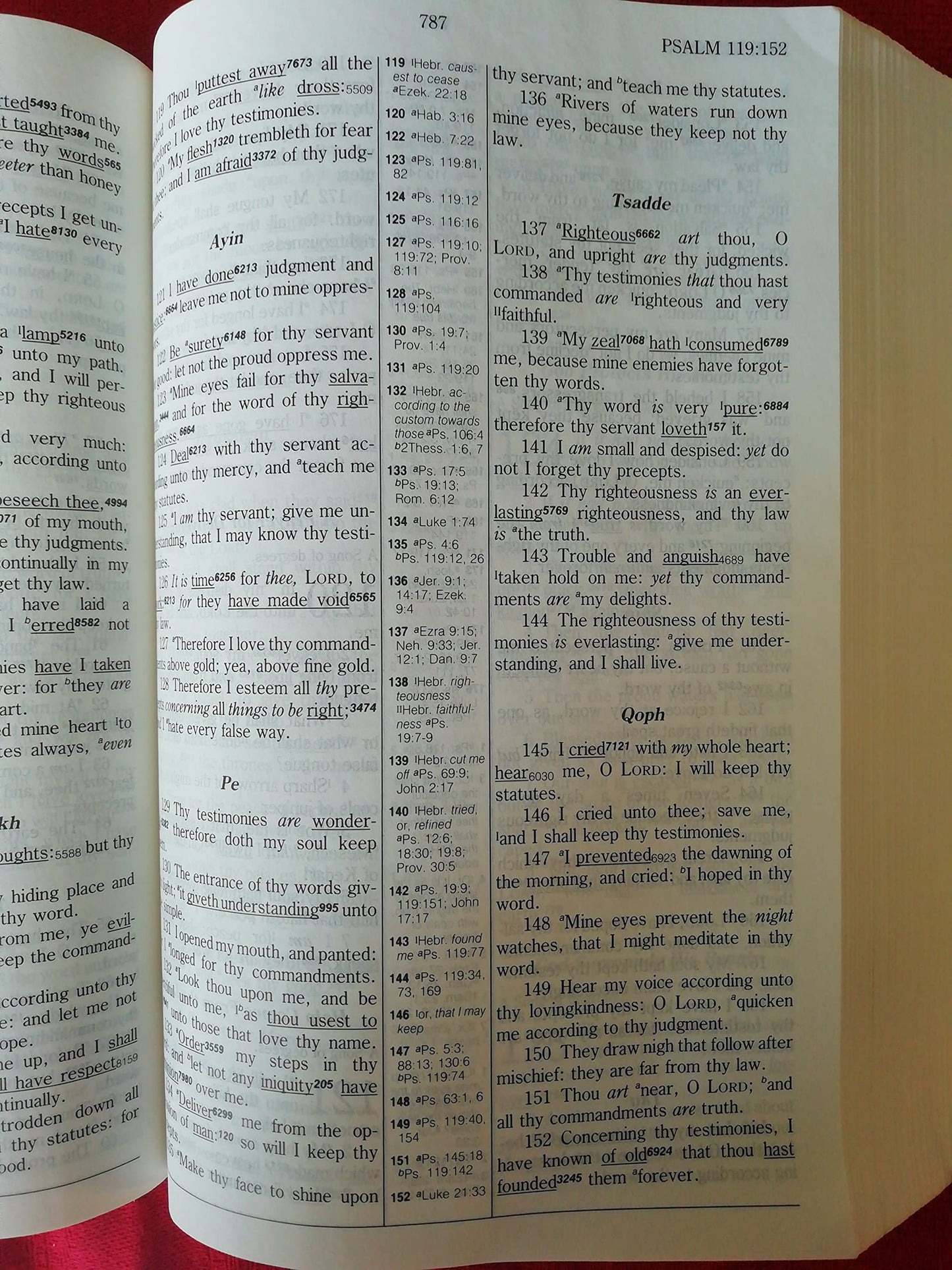 Hebrew-Greek Key Study Bible: King James Version by Spiros Z