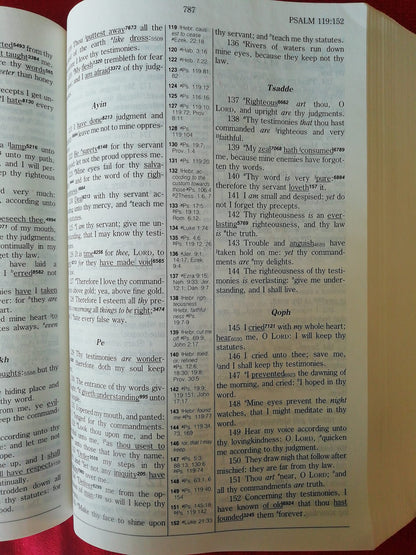 Hebrew-Greek Key Study Bible: King James Version by Spiros Z
