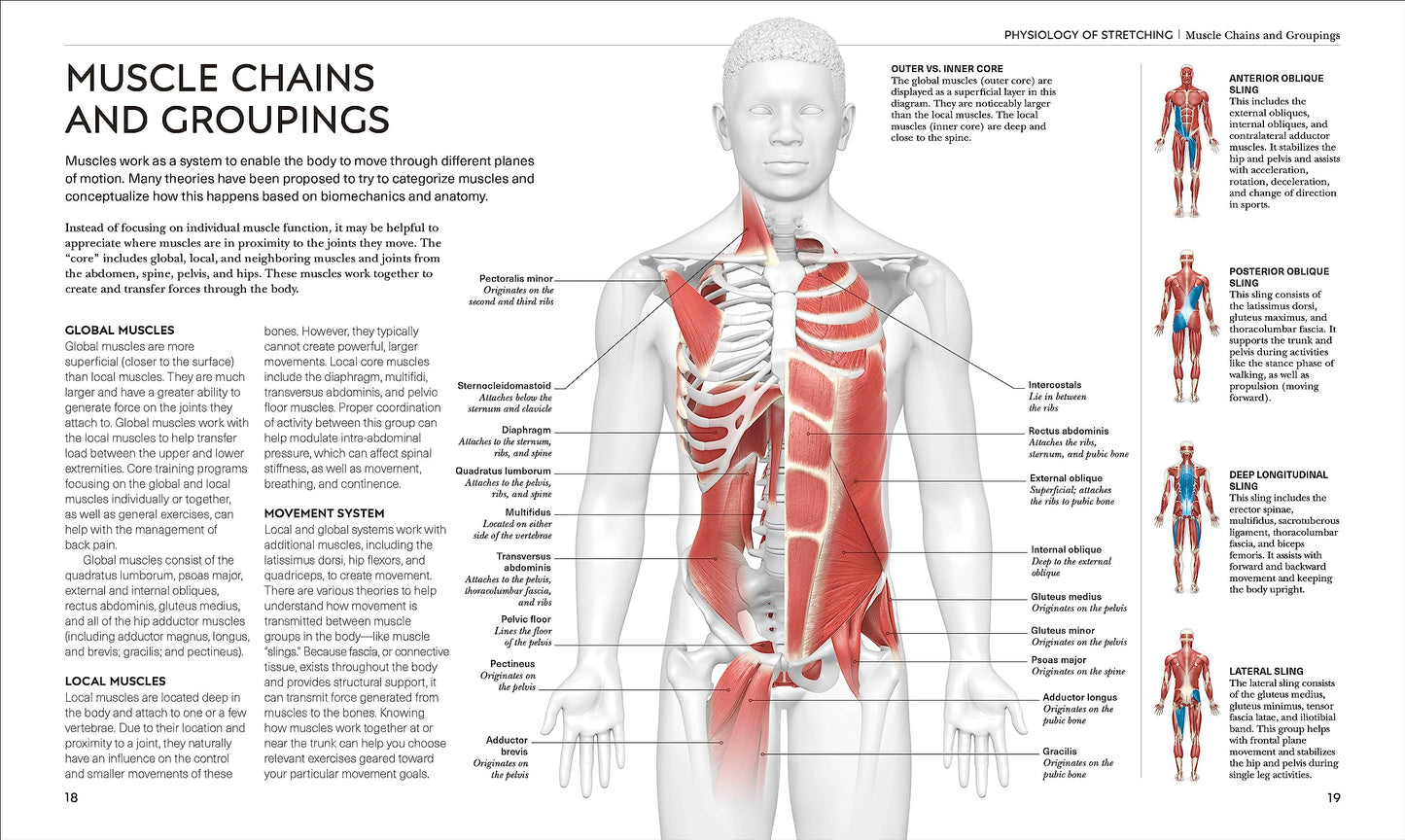 Science of Stretch: Reach Your Flexible Potential, Stay Acti