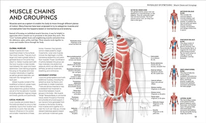 Science of Stretch: Reach Your Flexible Potential, Stay Acti