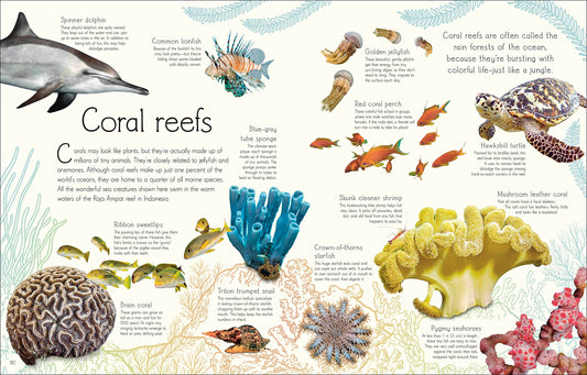 An Anthology of Aquatic Life (DK Children's Anthologies) by
